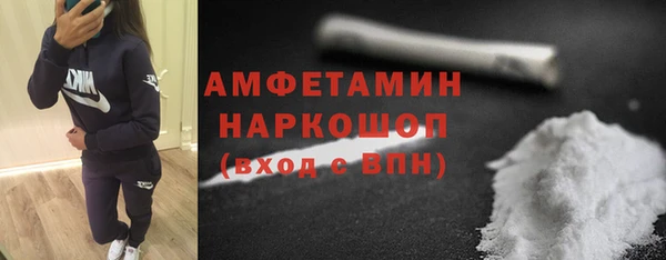 ГАЛЛЮЦИНОГЕННЫЕ ГРИБЫ Аркадак