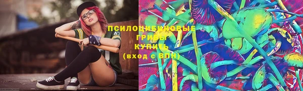 ГАЛЛЮЦИНОГЕННЫЕ ГРИБЫ Аркадак