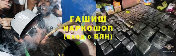 крисы Сатка