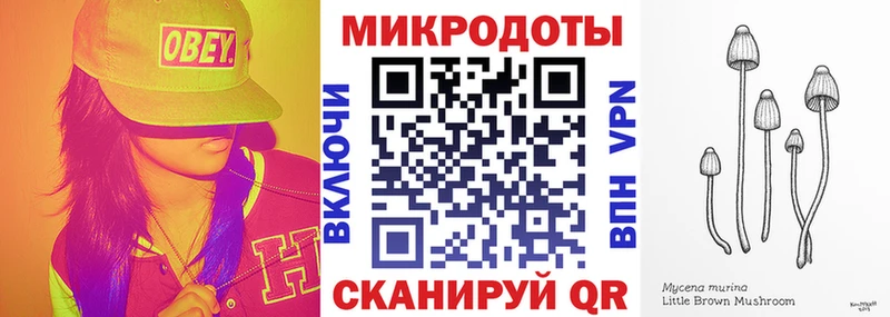 закладки  Нюрба  Псилоцибиновые грибы MAGIC MUSHROOMS 